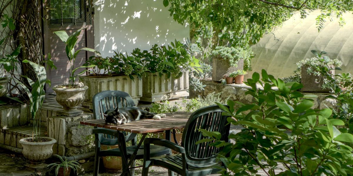 Consejos para revitalizar el jardín y el balcón