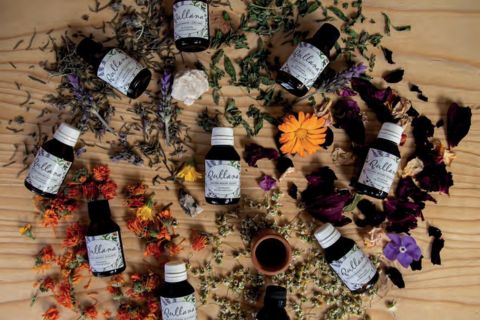 Medicinas de la tierra