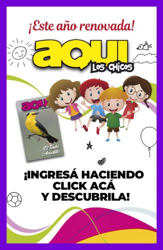 Bnner AQ los Chicos (744x1140)